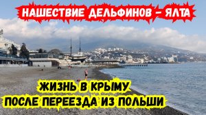 Нашествие Дельфинов! ЯЛТА сегодня! Мы в ШОКЕ! Жизнь в Крыму После переезда из Европы