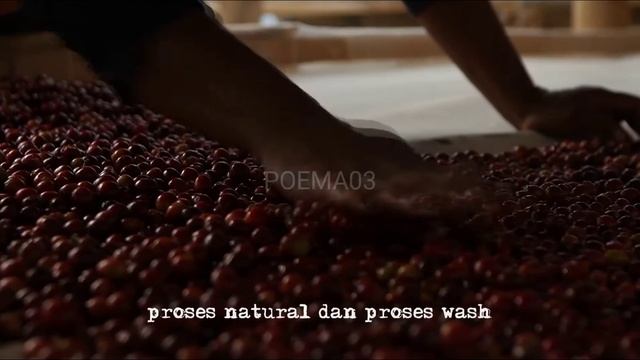 Single Origin Typica The Best Coffee in The World - POEMA03 смотреть онлайн