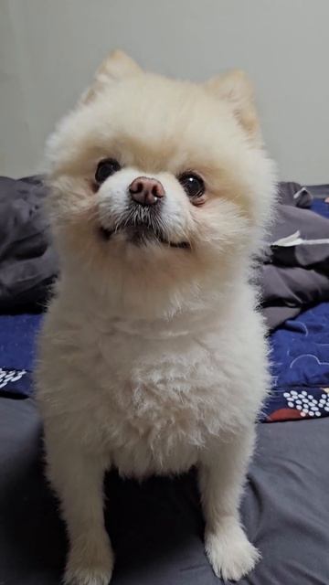 우리 우유 운동 가자. смотреть онлайн