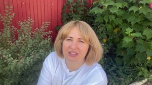 Индийская сирень или лагерстремия|черенкование #индийскаясирень #лагерстремия #garden #садмечты