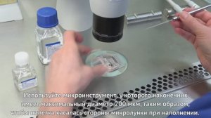 Загрузки культуральных чашек EmbryoSlide+
