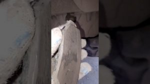 Москвич 3, JAC JS 4. Пробег 22,5 тысячи, появился скрип, проверяю тормозные колодки.