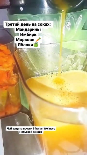 третий день на соках детокс здоровье травяной чай для печени Siberian Wellness Сибирское здоровье смотреть онлайн