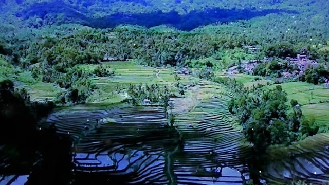 The Muffin Man　1:48　The Green Orbs смотреть онлайн