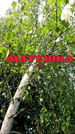 МАТУШКА | ВИА СоюZ