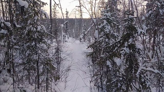 Снова в лесу. Минус 30. Пробиваю.mp4 смотреть онлайн