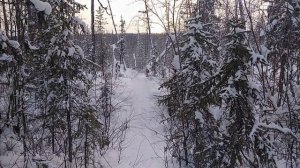 Снова в лесу. Минус 30. Пробиваю.mp4