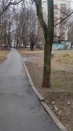 аномальная зима в Москве