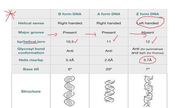 HSST EXAM MOLECULAR BIOLOGY MOCK TEST PART 1 смотреть онлайн