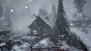 ЖЕСТОКАЯ ЗИМА на АЛЯСКЕ с ЭКСТРЕМАЛЬНЫМИ ХОЛОДАМИ и метелями для сна. ЛЕДЕНЯЩИЙ ЗИМНИЙ ШТОРМ 2025