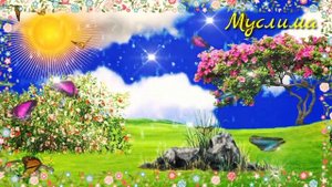 ТОНГИ ДУОЛАР | Барака, Ризк, Омад дуолари Оллохнинг панохида буласиз иншааллох