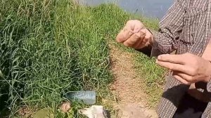 Снасть для ловли леща