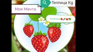 Теплицада Кулпунай🍓🤩Өмүр бир келет🎼 🍓Кыргызча музыка..