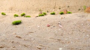 Тракторы, полицейские машины, грузовики находят полицейские машины в пещере