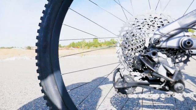 2019 Transition Sentinel Alloy GX | FOR SALE смотреть онлайн