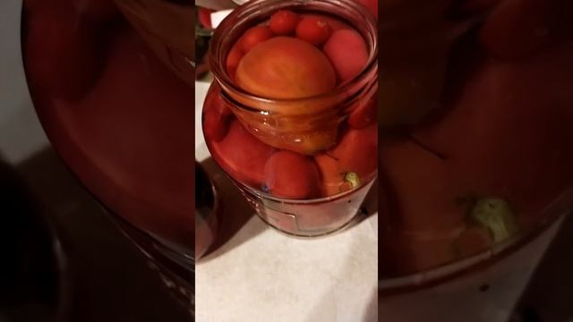 Томаты в собственном соку смотреть онлайн