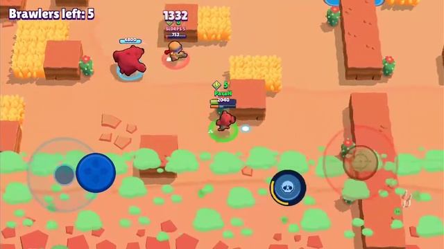 BRAWL STARS  NITA 1!!! Epic Showdown.