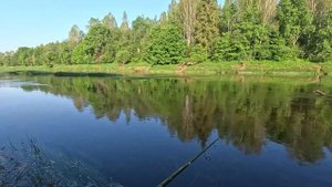 Супер клёв ГОЛАВЛЯ. Я это ждал 20 рыбалок