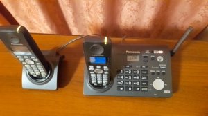 Беспроводной телефон Panasonic KX-TG8286RU