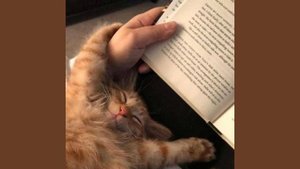 дайте танк(!!) - я | speed up