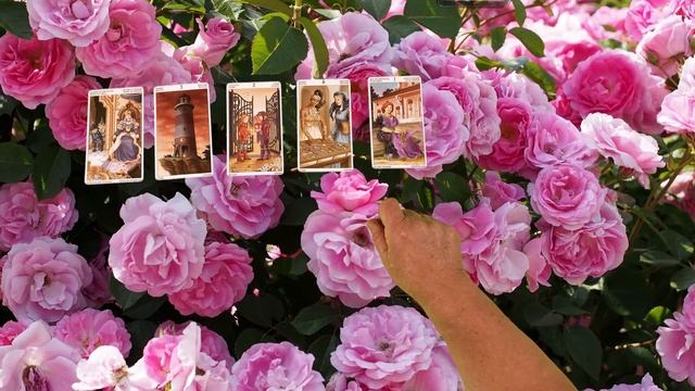 ЛЮБОВНЫЙ ТРЕУГОЛЬНИК. ЕГО МЫСЛИ И ЧУВСТВА ПО ОТНОШЕНИЮ К ВАМ Общее онлайн гадание ТАРО смотреть онлайн