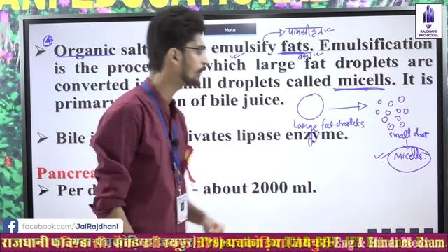 [55] NEET/JET/ ICAR/BHU Biology Lessons | HUMAN PHYSIOLOGY | DIGESTION & ABSORPTION (Lect-14)