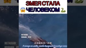 Змея стала человеком/ ДОРАМА : Судьба белой змеи
