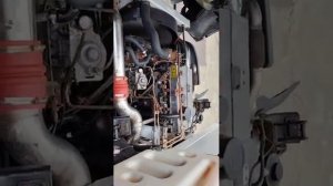Foton 1049 работа мотора "Perkins"