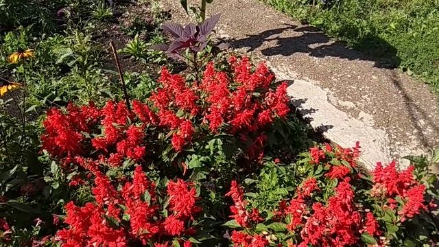 НОГИ К ЮГУ ГОТОВЫ))))))))))23 августа 2018 г.