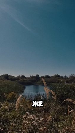 Любимые маршруты красивыми полями на электрофэтбайке Syccyba Impulse