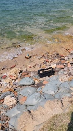 Чемодан ракушек на пляже в Паттайя