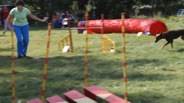 31.08.14 Татьяна Барсукова и Шерри смотреть онлайн