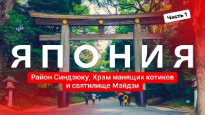 Район Синдзюку, Храм манящих котиков и святилище Мэйдзи — Токио, Япония. Часть 1