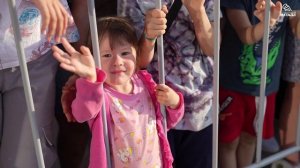 Половодье 4.07.2023