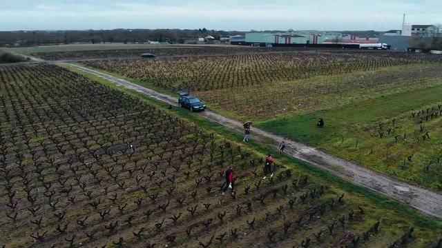 Terroir Concept смотреть онлайн