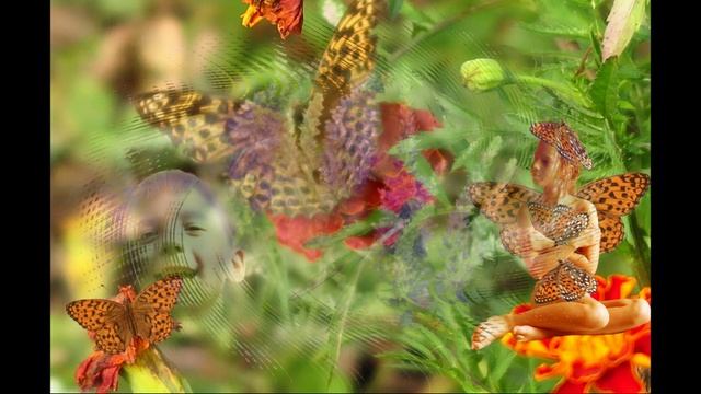 Цветы...Цветы.