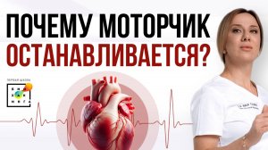 Кого ждут инфаркты и инсульты? Почему образуются тромбы?