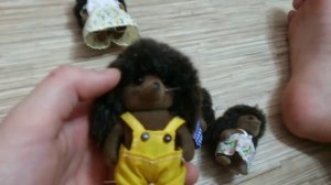 Мои семейки Sylvanian Families