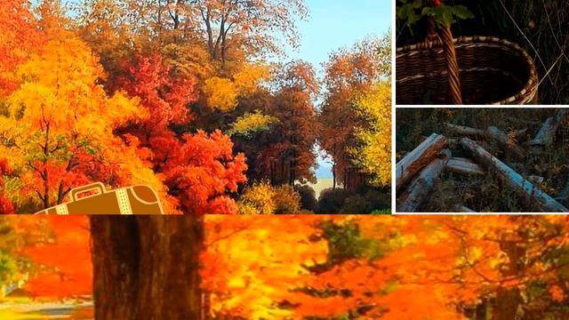 Осень Видеоролик смотреть онлайн