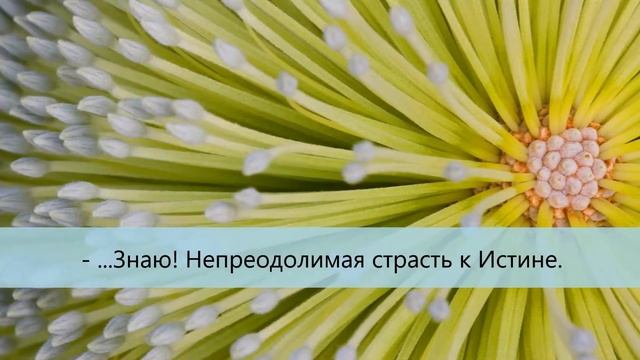 СКРОМНОСТЬ. Притча об искателе истины от Энтони де Мелло - Скромность