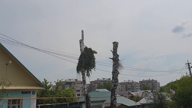 В гостях в Уфе. Часть 2. смотреть онлайн