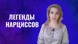 Любимые легенды нарциссов