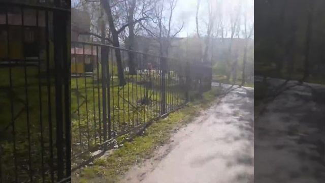 Лазанья супер!