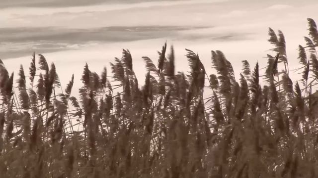 В Минской области введен запрет выхода на лед смотреть онлайн