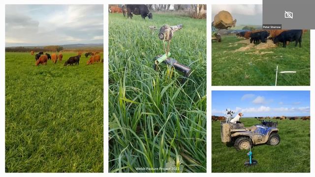 Adolygiad Prosiect Porfa Cymru 2022 / Welsh Pasture Project 2022 Review