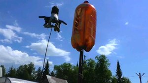 Эффективное средство,от кротов и мышей ,на даче