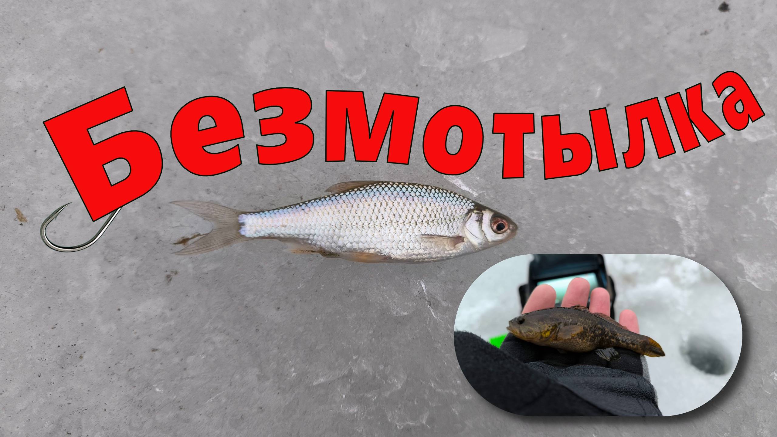 Безмотылка для Начинающих смотреть онлайн