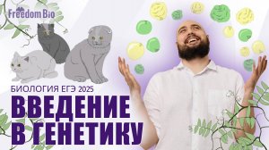 Введение в генетику + Задачи на группы крови |Генетика| ЕГЭ БИОЛОГИЯ 2025|Freedom