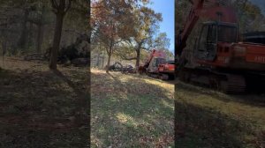 Ex-160 hitachi pushing dead oak over