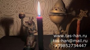 Какие растения могут служить талисманом удачи?